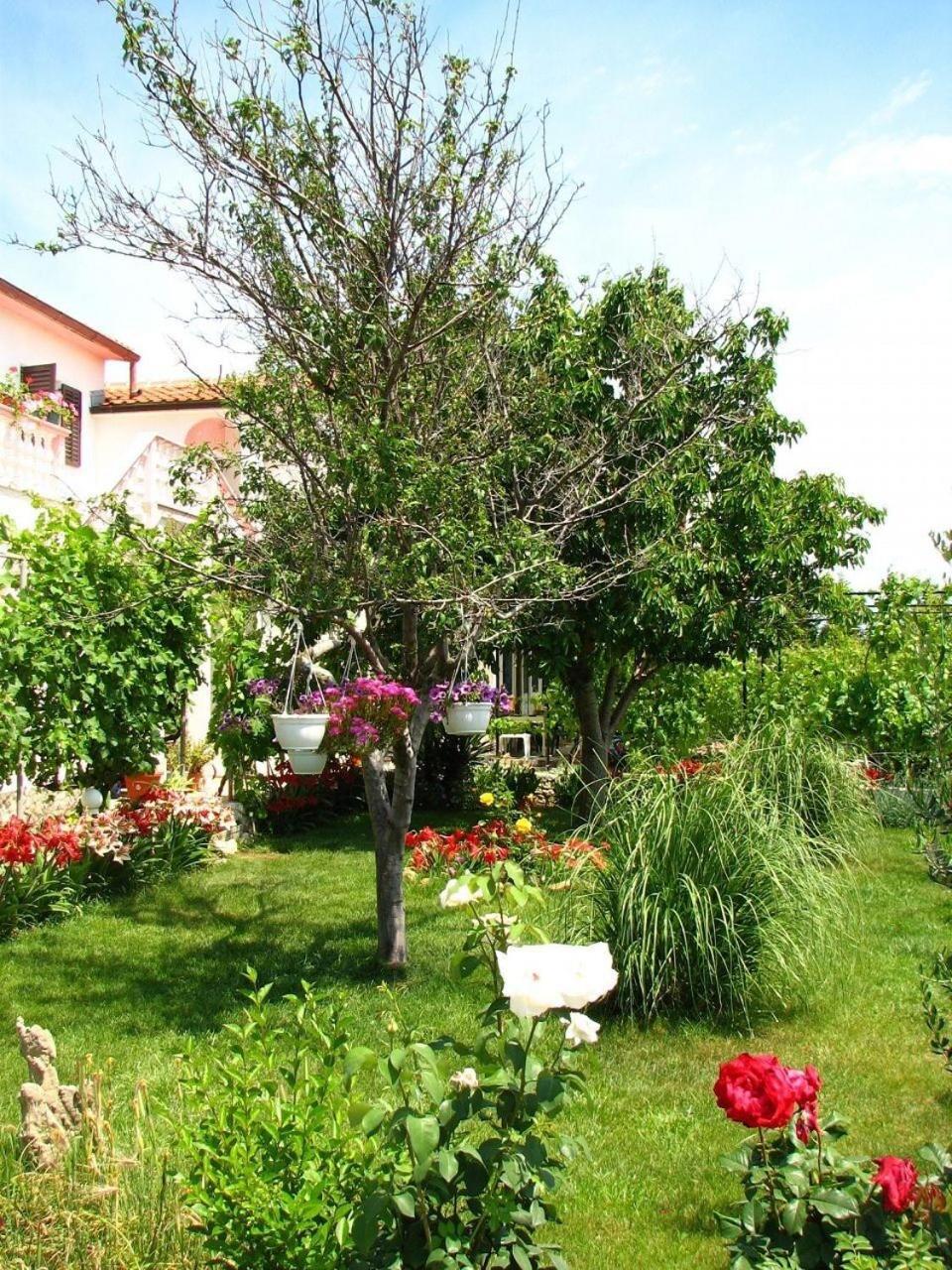 Apartments Kani Nin Εξωτερικό φωτογραφία